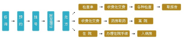 医博医院就诊流程