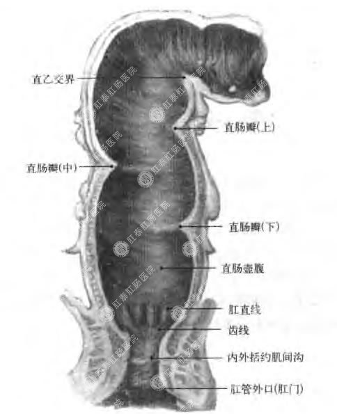 急性肠胃炎